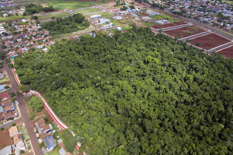 Parque genoveffa