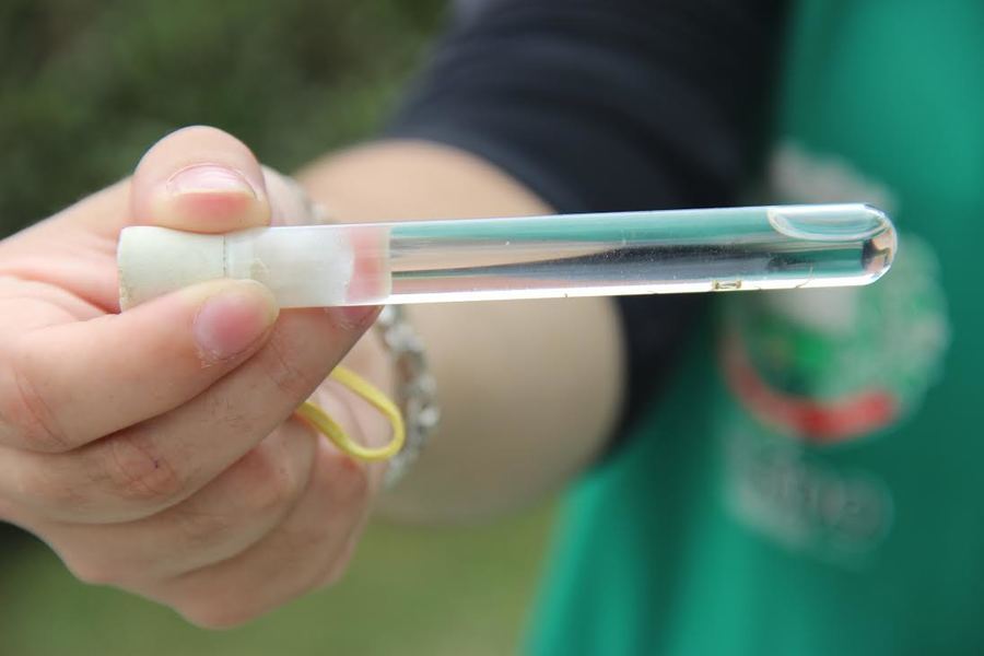 Mosquito tubo