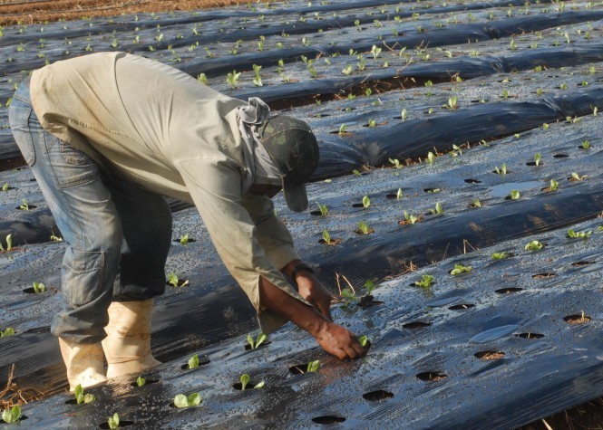 Produtor rural agencia brasil
