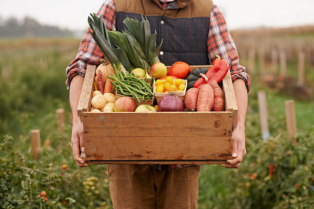Organic food