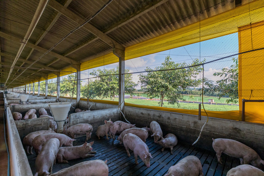 Propriedade   entre rios