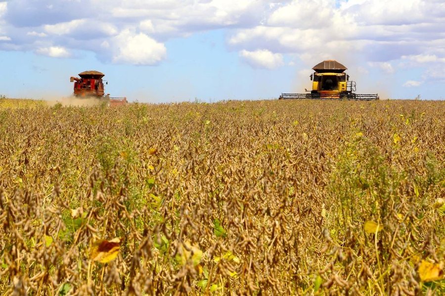Agricultura