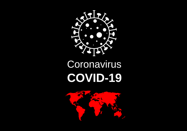 Virus 4915859 640 %283%29