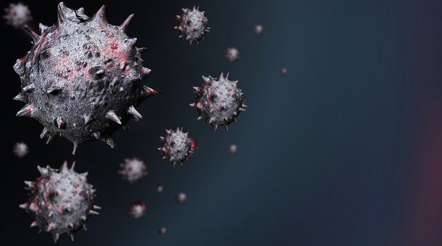 Coronavirus 5009609 640