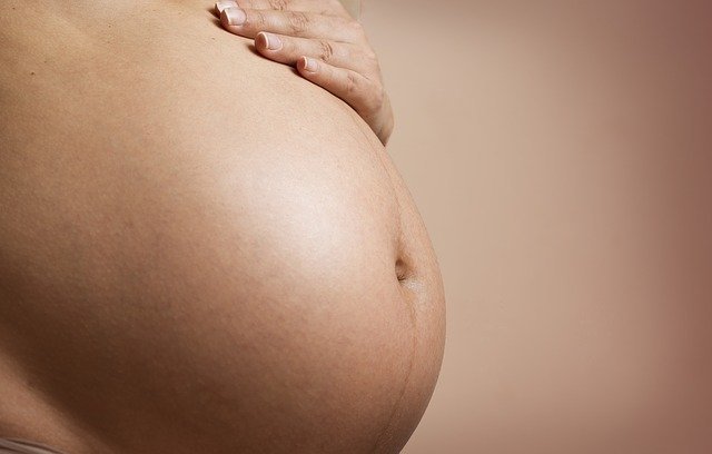 Pregnant g1e90c5c17 640