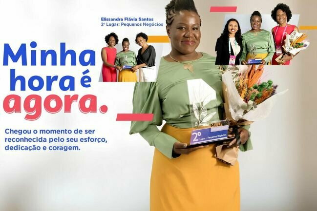 Sebrae 1 0