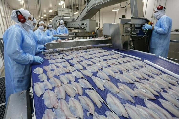 Tilapia 12 jonathan campos aen 0