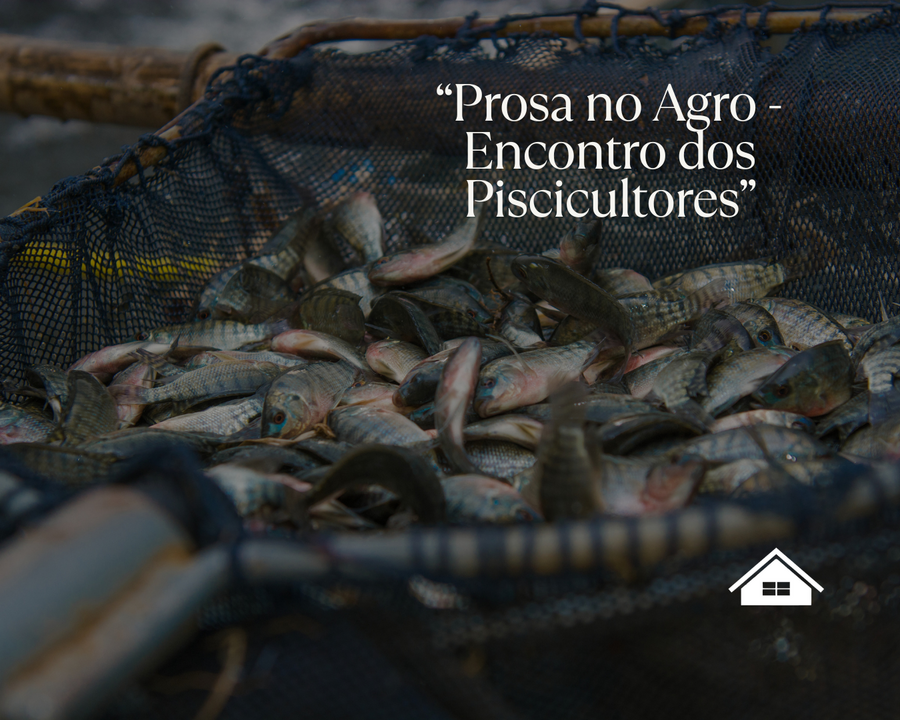 Neutral minimalist social media tips carousel instagram post %281350 x 1080 px%29