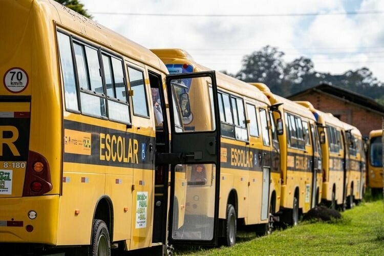 Educacao no rumo certo lucas fermin seed 0