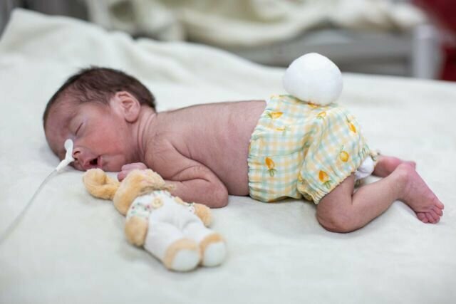 Whatsapp image 2025 11 17 at 13.13.48