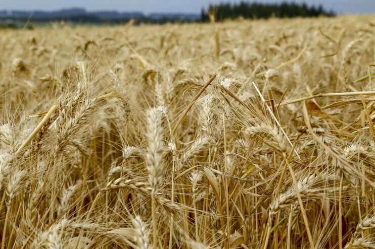 Whatsapp image 2025 12 11 at 15.35.29