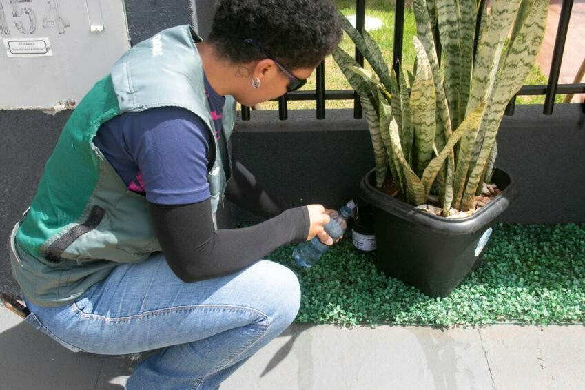 Vistorias de focos de dengue carlos rodrigues 17 1