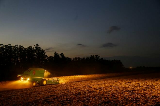 Whatsapp image 2026 01 13 at 15.08.02