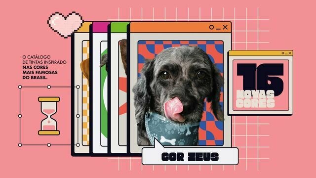 Pet colors foz tintas capimag 2