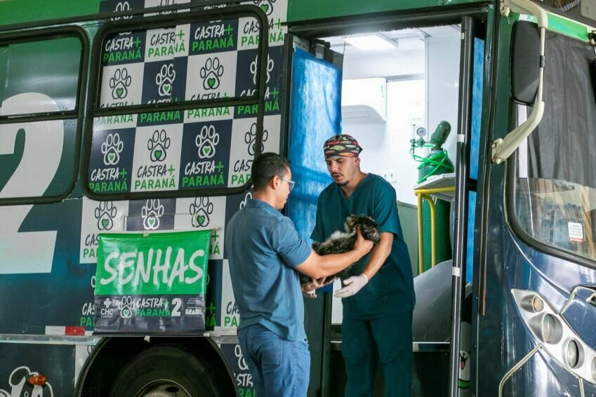 Castra parana 130426 foto fabio ulsenheimer 1