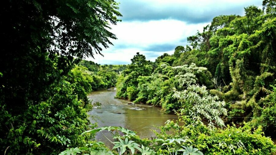 Rio do oeste do pr. fotos denis ferreira netto acervo pessoal m 1536x864
