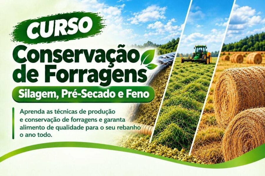 Curso de conservacao de forragens 0