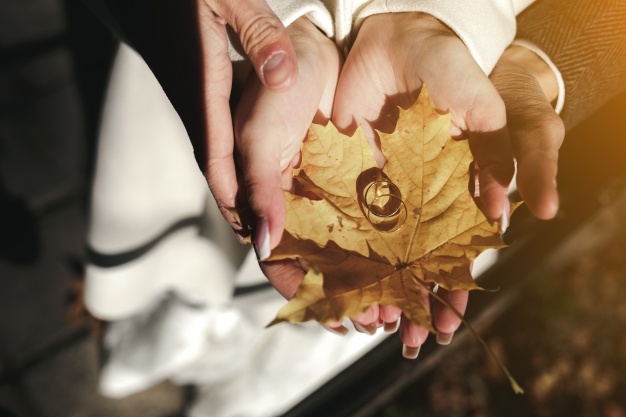 Tudo que você precisa saber sobre Bodas de Casamento