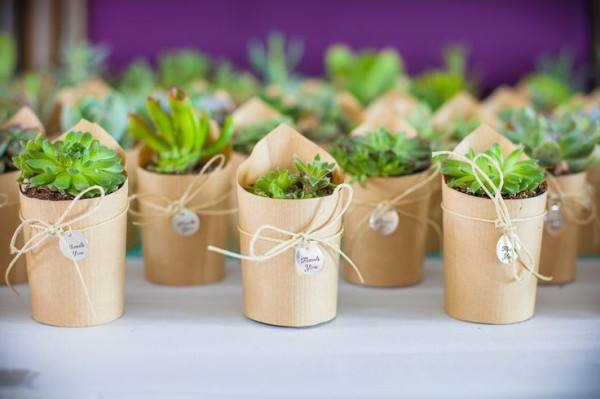 Ideias de lembrancinhas de casamento com suculentas