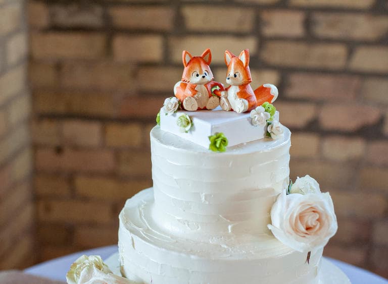 Modelos lindos de topos de bolos para casais que amam animais