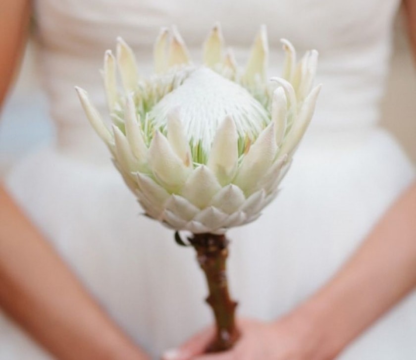 Tendência: buquê de noiva com uma única flor