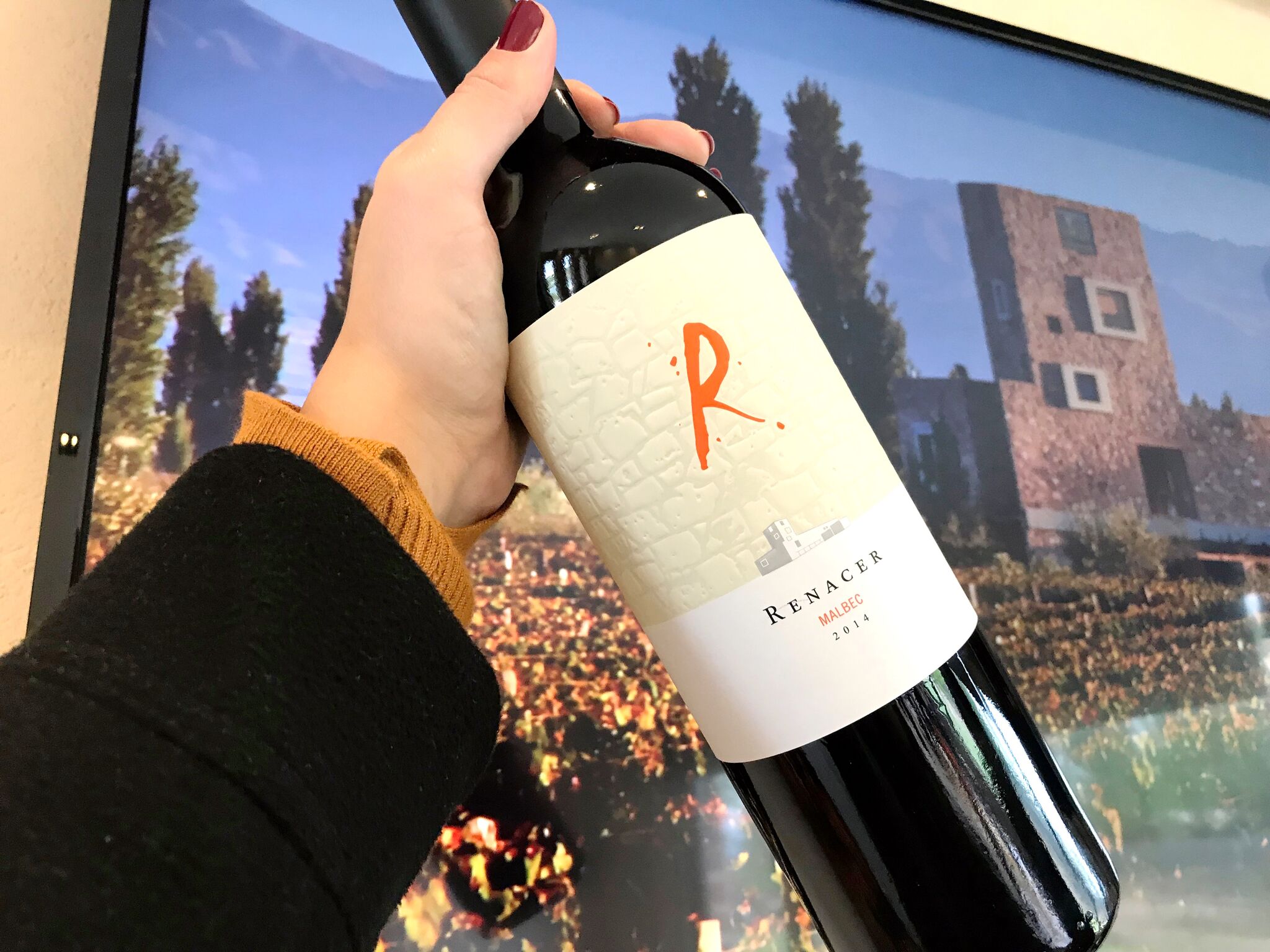 Renacer Malbec: um vinho de personalidade para um brinde mais especial