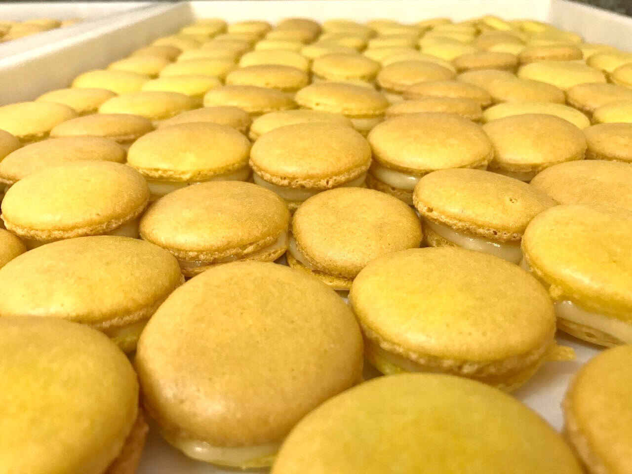 Pâtisserie Douce France: o macaron mais clássico de São Paulo