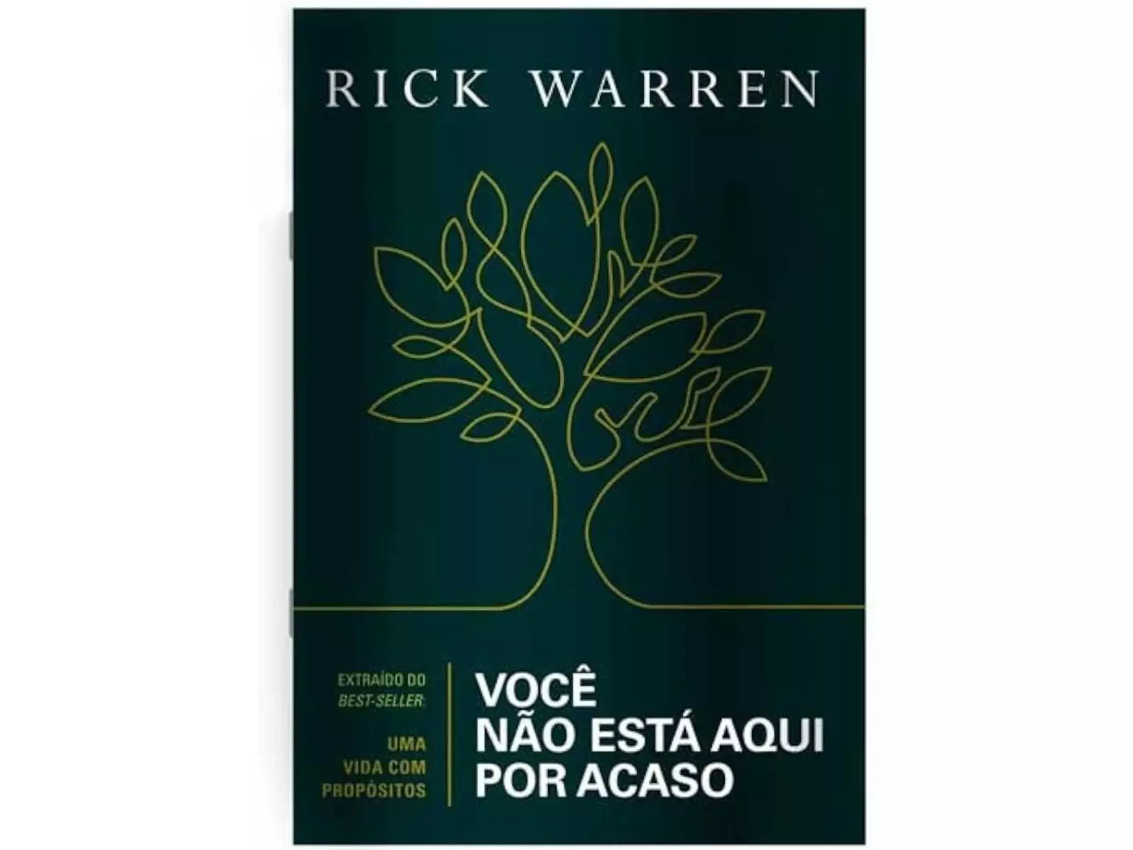 Você não está aqui por acaso | Rick Warren