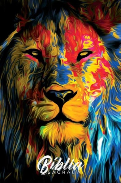 BÍBLIA E HINÁRIO NOVO CÂNTICO - LETRA NORMAL Acabamento capa dura / Tamanho 13,5x21,5 cm