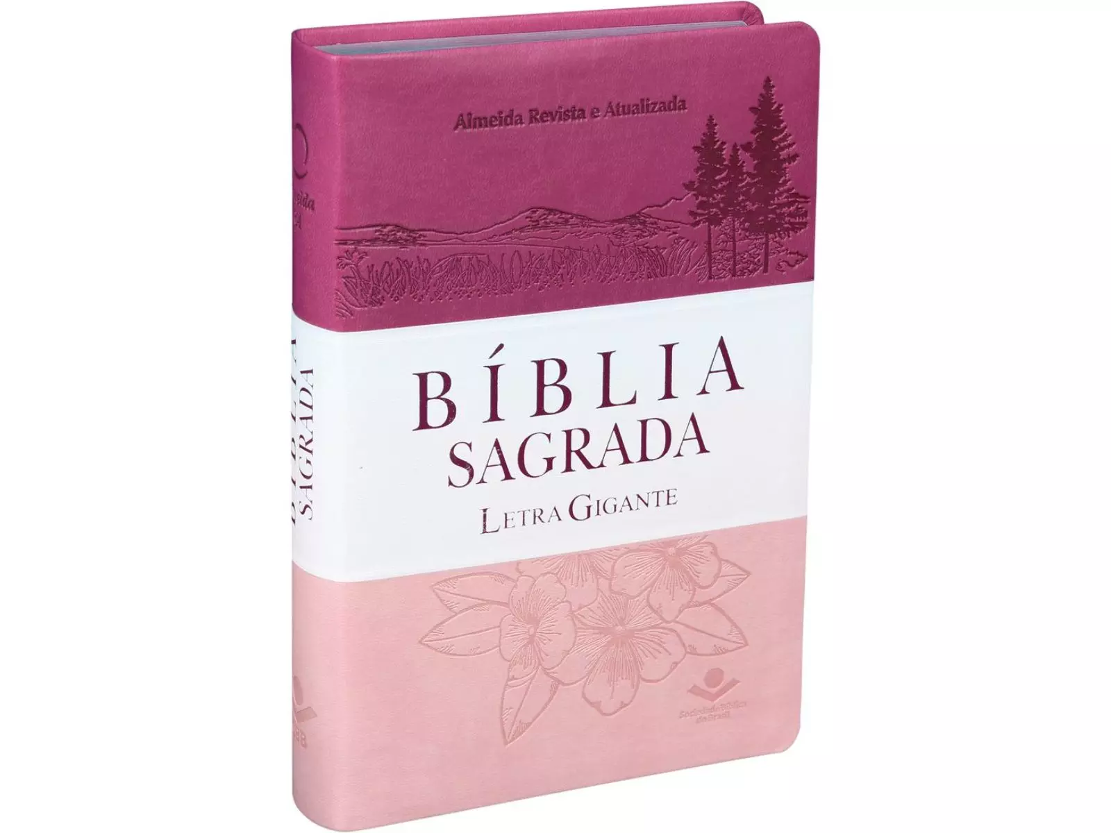 Bíblia Sagrada Feminina Letra Gigante | Almeida Revista e Atualizada | Capa 3 cores com Índice