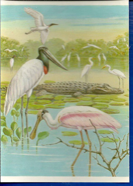 BRASIL POSTAL, PANTANAL MATO-GROSSENSE - FAUNA E FLORA