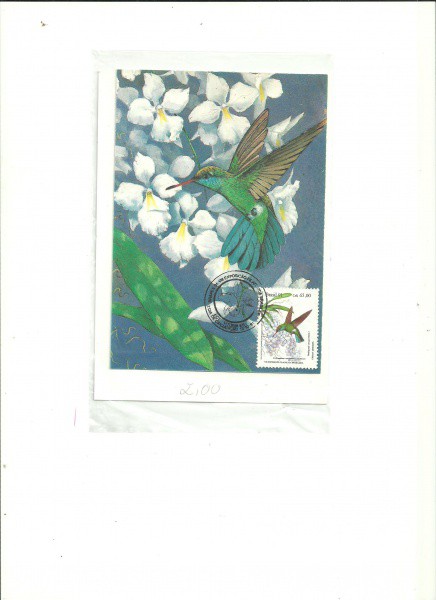 CARTÃO POSTAL - EXPOSIÇÃO FILATÉLICA BRASILEIRA - BRAPEX VIII