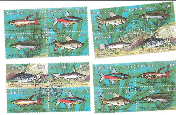 QUADRAS CBC + 1 DIA - RHM 939/CONJUNTO - 1976