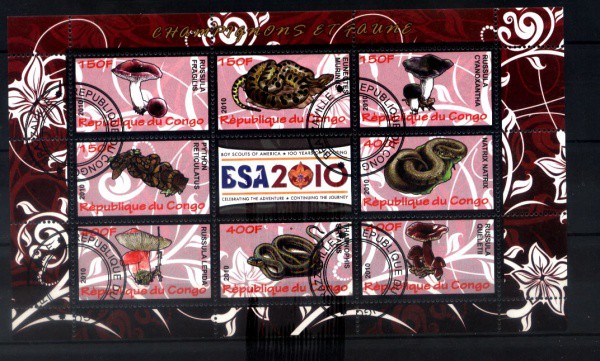 BLOCO DA REPUBLICA DO CONGO - ANO 2010 - TEMA - FAUNA E FLORA - COGUMELOS E SERPENTES