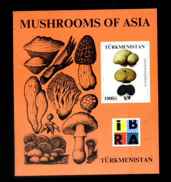 BLOCO DE TURKMENISTAN - TEMAS - COGUMELOS - NOVOS