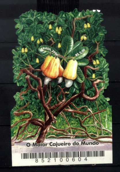 BLOCO DO BRASIL - ANO 2006 - TEMA - O MAIOR CAJUEIRO DO MUNDO - NOVO