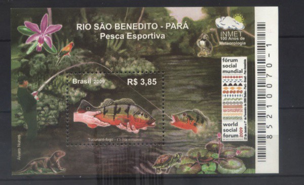 BLOCO DO BRASIL - ANO 2009 - RIO  SÃO BENIDITO - PARA TEMA - PESCA ESPORTIVA - NOVO