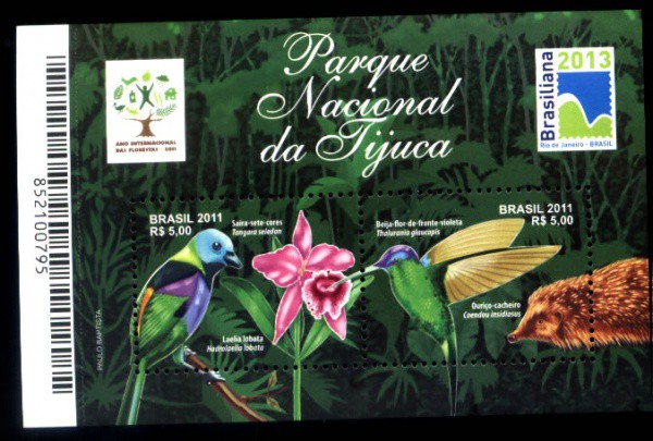BLOCO DO BRASIL - ANO 2011 - PARQUE NACIONAL DA TIJUCA - BELA PEÇA