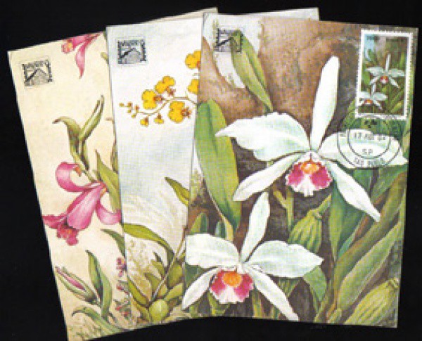 Brasil 1982 - Série de 3 máximos postais oficiais dos correios. MAX-068/70 - Orquídeas, série comple