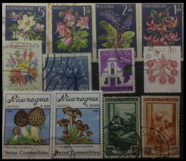 FLORA TEMA FLORES   - LOTE COM 12 SELOS CLASSICOS EM EXCELENTE ESTADO DE CONSERVAÇÃO !
