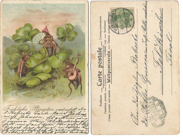 Cartão postal tipográfico: Circulado em 1905, preserva selo Imperio Alemão. MBC.