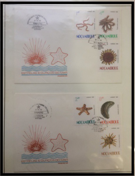 MOÇAMBIQUE - PARTE DE UMA COLEÇÃO COM SELOS E ENVELOPES EM ESTADO MINT DE CONSERVAÇÃO ! TEMA FAUNA M