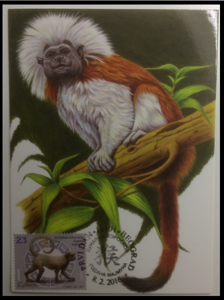 SERVIA  - CARIMBO BELGRADO TEMA FAUNA - EM ESTADO MINT DE CONSERVAÇÃO !