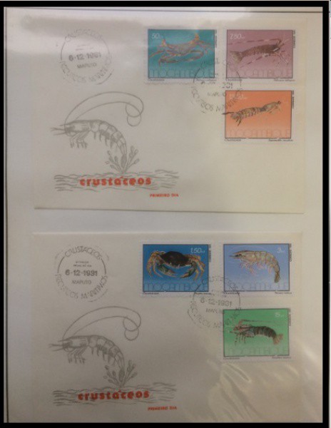 MOÇAMBIQUE - PARTE DE UMA COLEÇÃO COM SELOS E ENVELOPES  EM ESTADO MINT DE CONSERVAÇÃO    ! FAUNA CR