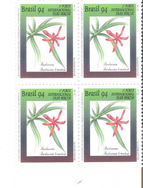 QUADRA DO BRASIL - RHM 1892 - NOVO - 1994