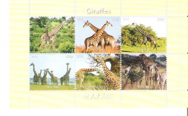 BLOCO ESTRANGEIRO - TEMATICOS - ANIMAIS - NOVO
