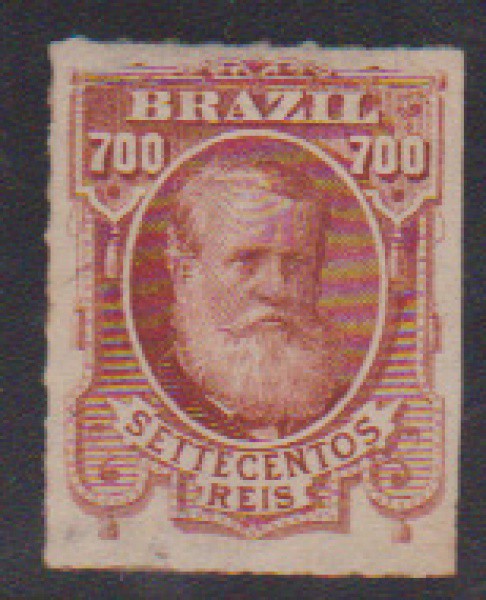 Brasil 1877 - Selo 700rs. Barba Branca, sem carimbo perfeito e com cores nítidas. Valor de catálogo