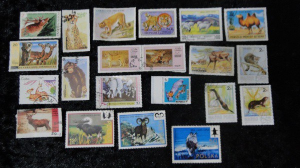 TEMÁTICOS: ANIMAIS (PREDADORES/MAMÍFEROS) - 21 SELOS - DIVERSOS PAÍSES, LINDO LOTE, VEJA TODAS AS FO
