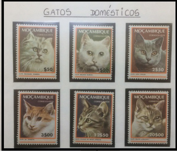 MOÇAMBIQUE - PARTE DE UMA COLEÇÃO COM SELOS  EM ESTADO MINT DE CONSERVAÇÃO    ! FAUNA PET GATOS COMP