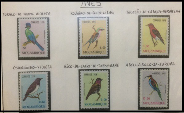 MOÇAMBIQUE - PARTE DE UMA COLEÇÃO COM SELOS EM ESTADO MINT DE CONSERVAÇÃO FAUNA AVES COLORIDAS   !